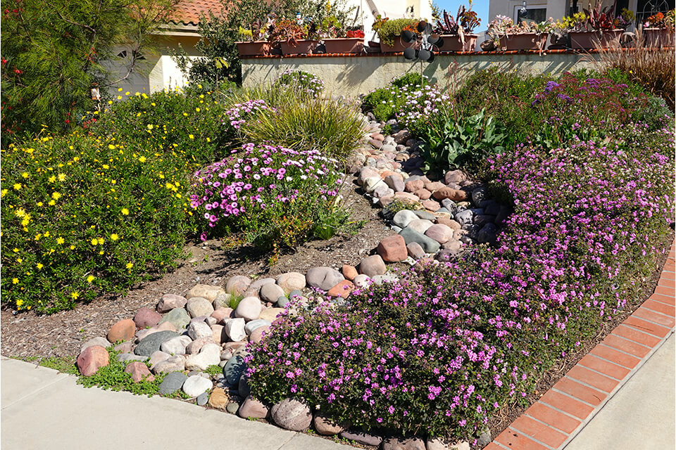 Xeriscaping allows for more colours and room for creativity.