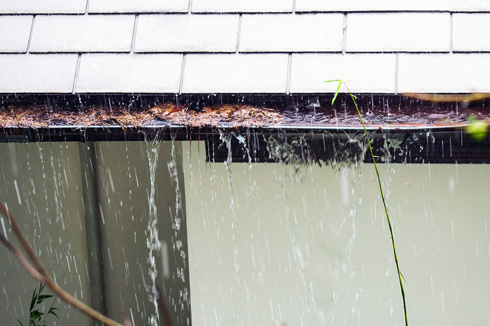 A clogged gutter may cause drainage issue.