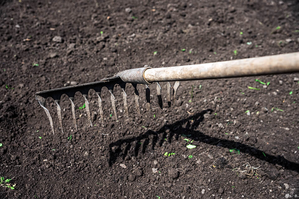 A person raking topsoil to prepare for gardening.