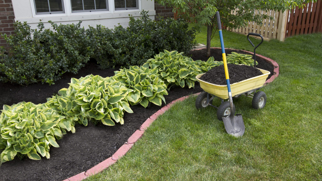 Topsoil in a wagon beside a garden bed.