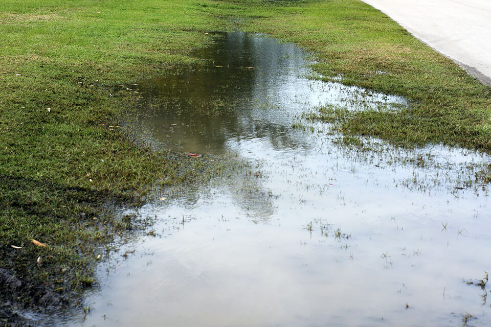 Hainvg standing water is a sign of a grading issue.