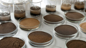 Top soil lab samples.