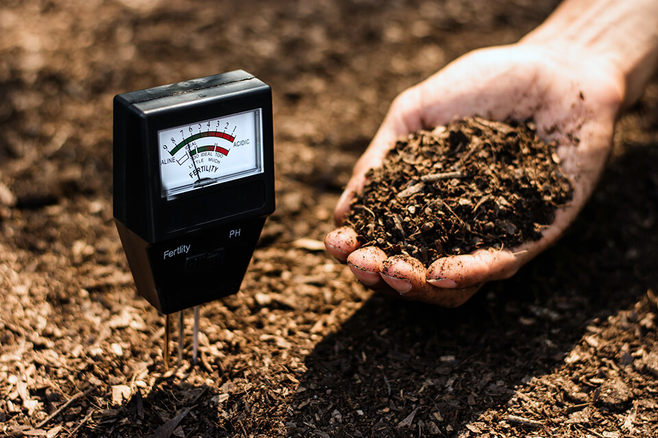 Using a pH metre to test topsoil.