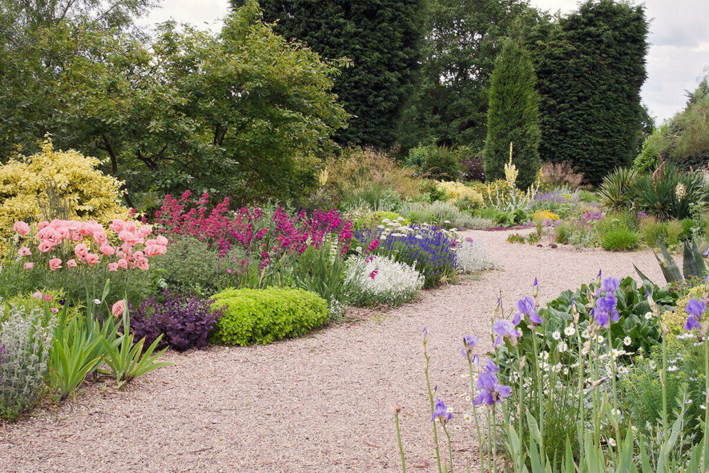 Beth Chatto's world famous Gravel Garden.