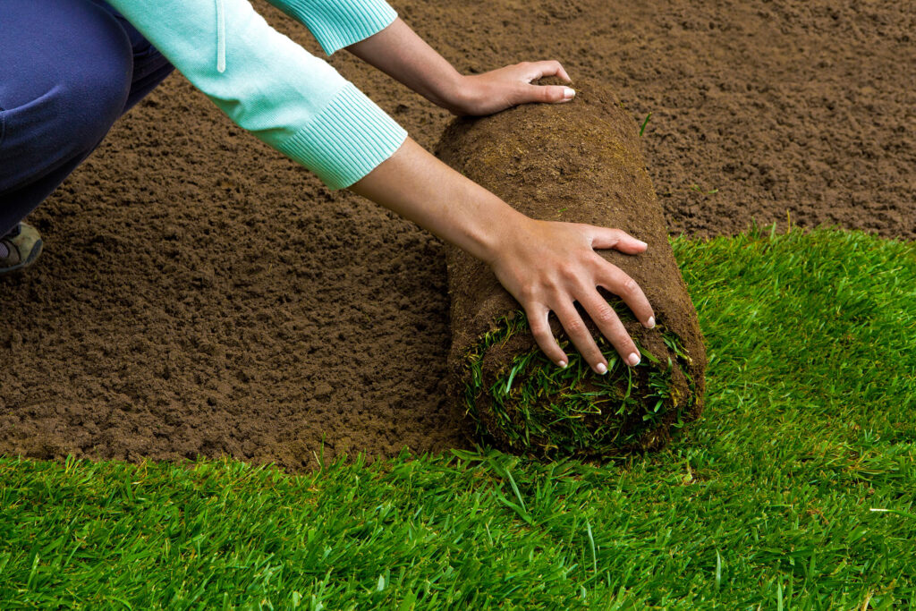 A woman laying sod for a new lawn.