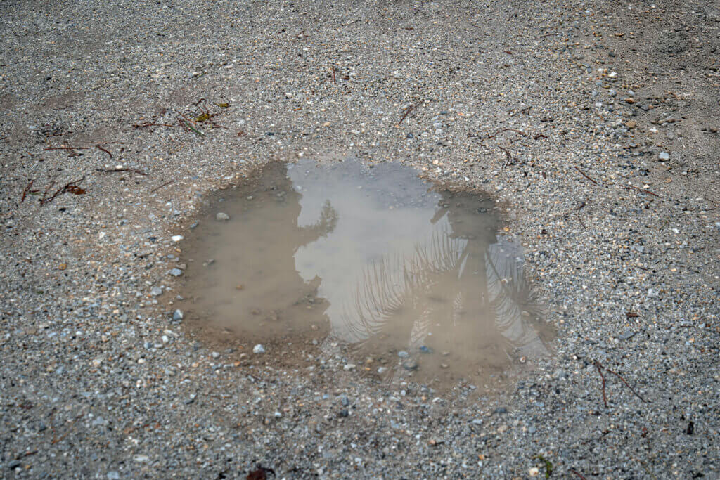 Small puddle sitting in a gravel driveway after rain.